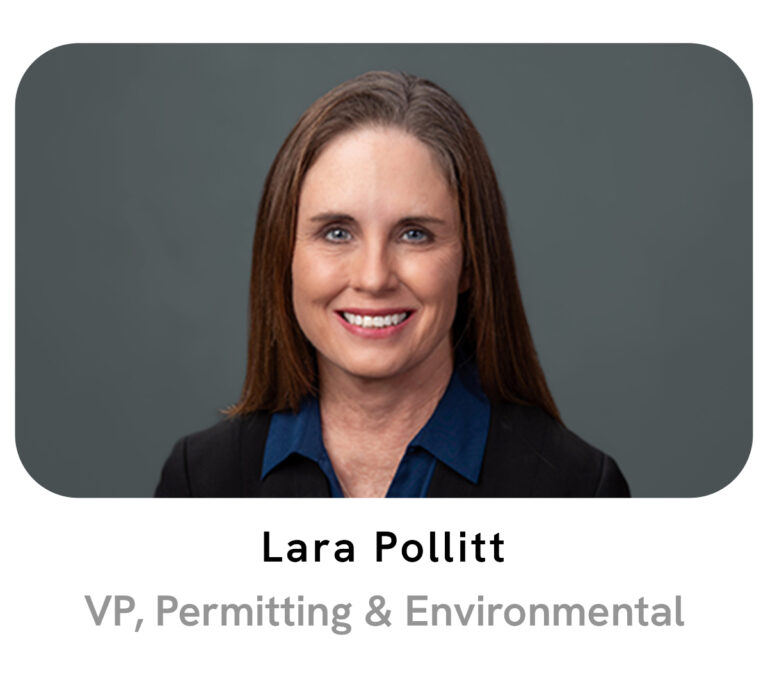 Lara_Pollitt_Homepage